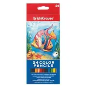 Zīmuļi krāsainie 24 krāsas Erich Krause  Erk32880
