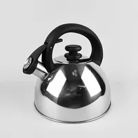 Feel-Maestro Mr1302 kettle 2.5 L Stainless steel  Mr-1302 4820096555477 Agdmeoczn0023