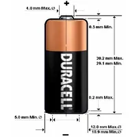 Batn.d2 Lr01 baterijas 1.5V Duracell Alkaline N/Mn9100 iepakojumā 2 gb.  5000394203983