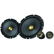 Pioneer Ts-A1601C 
