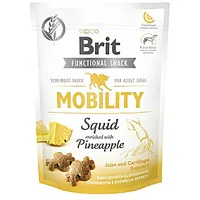 Brit Functional Snack Mobility Squid - Suņu kārums 150G 530571