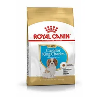 Royal Canin Cavalier King Charles kucēns 1,5 kg 276226