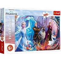 Puzle Frozen 2, 100 gb. 5576