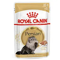 Royal Canin Fbn Persijas pieaugušais 12X85G 275147