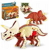 Dinozauru Triceratops skeletu salikscaronanai  6 Cht2818818 682960