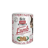 Brit Care Cat Snack Superfruits Lamb - kaķu cienasts 100G 457026