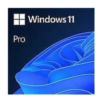 Software Microsoft Win 11 Pro 64Bit Eng Intl 1Pk Dsp Oei Dvd Oem English Fqc-10528 231795
