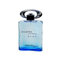 Salvatore Ferragamo Incanto Pour Homme Blue Edt 100 ml