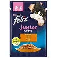 Purina Nestle Felix Fanstastic Junior - wet cat food 85 g Art620341