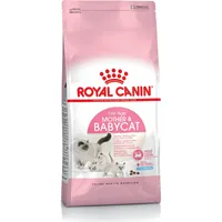 Royal Canin Mother  Babycat cats dry food 400 g Adult Poultry Art498548
