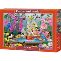 Castorland Puzzle 2000 Rhythm of Nature 489182