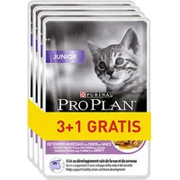 Purina Nestle Pro Plan Junior Turkey - wet cat food 85G 31 Art498705