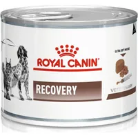 Royal Canin Recovery Wet dog and cat food Mousse Poultry, Pork 195 g Art612383