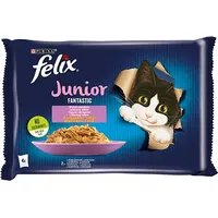 Purina Nestle Felix Fantastic Junior rural flavors in jelly - chicken, salmon 340G 4X 85 g Art498685