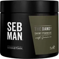 Sebastian Professional Plaukų pomada vyrams Seb Man The Dandy Shiny 75 ml 3614226734396