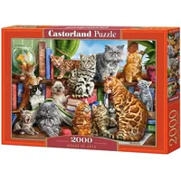 Castorland Puzzle 2000 House of Cats 290187