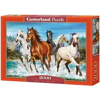 Castorland Puzzle 2000 Call of Nature 290188