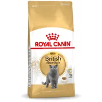 Royal Canin British Shorthair Adult cats dry food 4 kg Art498505