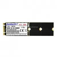 Goldenfir 1.8 inch Ngff Solid State Drive, Flash Architecture Tlc, Capacity 240Gb