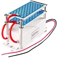 High Temperature Ceramic Plate Integrated Ozone Generator 220V 10G Air Purifier