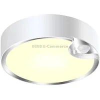 Yq-1142 Human Body Induction Ceiling Lamp Indoor Corridor Car LibraryWarm Light