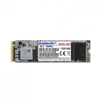 Goldenfir 2.5 inch M.2 Nvme Solid State Drive, Capacity 120Gb
