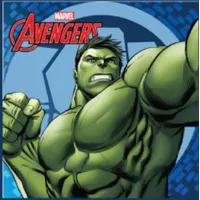 Burvju dvielis 30X30 Avengers D 2126 Hulk Bruce Banner Green Giant 820-857-D