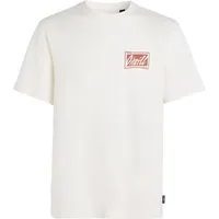 Oneill Beach Graphic T-Shirt M 92800613968