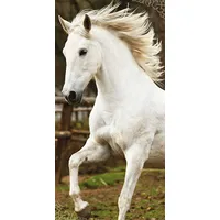 Pludmales dvielis 70X140 Balts zirgs 1324 kokvilnas gallopē 5300038