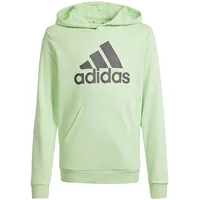 Adidas Big Logo Hoodie meiteņu sporta krekls Is2591 / zaļš 140 cm