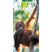 Animal Planet dvielis 75X150 C Monkey 5262 110274