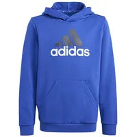 Adidas Big Logo 2 Hoodie Jr Ij6288 sporta krekls / zils 164 cm
