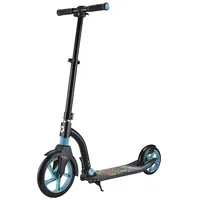 Aluminum scooter with foot 13984