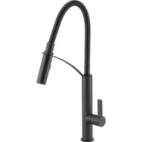 Deante Kitchen Mixer With Pull-Out Spray Black Gerbera BgbN72M