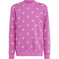 Adidas Džemperis Bluv Swt meitenēm Ic5573 / rozā 170 cm