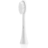 Eta Toothbrush replacement Regularclean 070790200 Heads, For adults, Number of brush heads included 2, White Eta070790200