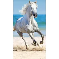 Pludmales dvielis 70X140 Baltais zirgs, kas staigā pludmalē 3477 Konik zirgs Jaunības kokvilnas vannas 2330623