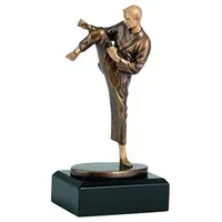 Tryumf Karatē statuete / 23Cm bronza Rfxr1118/Br