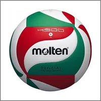 Molten V5M4000-X volleyball ball V5M40005