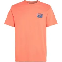 Oneill Beach Graphic T-Shirt M 92800613976