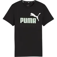 Puma Ess 2 Col Logo Tee B Jr 586985 34 58698534