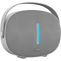 W-King Wireless Bluetooth Speaker T8 30W Silver