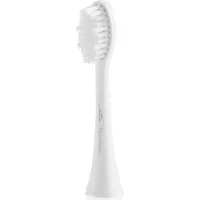 Eta Toothbrush replacement Flexiclean 070790100 Heads, For adults, Number of brush heads included 2, White Eta070790100