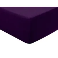 Frotē palags ar elastīgo joslu 120X200 031 violeta 1271029