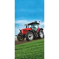 Pludmales dvielis 70X140 Traktora lauka pļava 6903 2040633