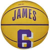 Wilson Basketball ball Nba Player Icon Lebron James Mini Ball Wz4007201Xb