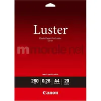 Canon  
 Lu-101 Photo Paper Pro Luster A4 6211B006