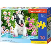 Castorland Puzzle 70 French bulldog puppy Castor 5904438070152