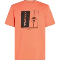 Oneill Mix  Match Palm T-Shirt M 92800613905