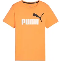 Puma Ess 2 Col Logo Tee B Jr 586985 53 58698553
